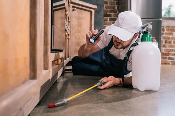 Pest control technician